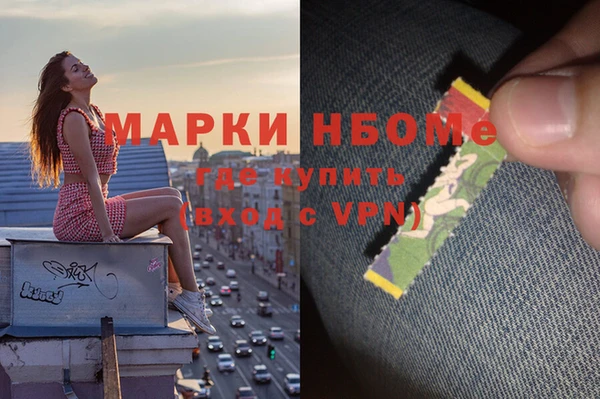 крисы Новодвинск