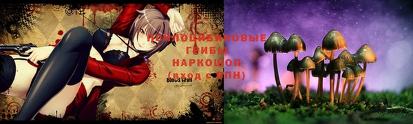 МДМА Алексин