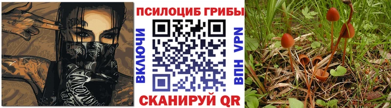 Псилоцибиновые грибы Cubensis Усолье-Сибирское