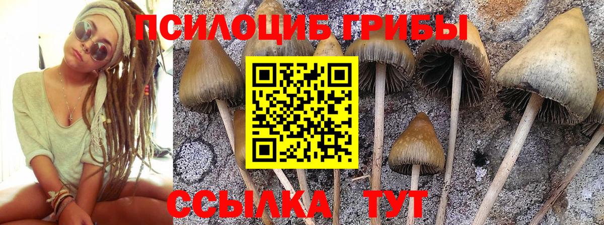 Галлюциногенные грибы Psilocybe  Вход с VPN  Усолье-Сибирское 